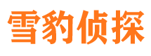 武宁侦探公司